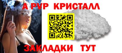 амф Новодвинск