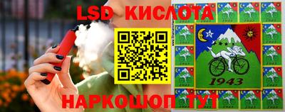 амф Новодвинск