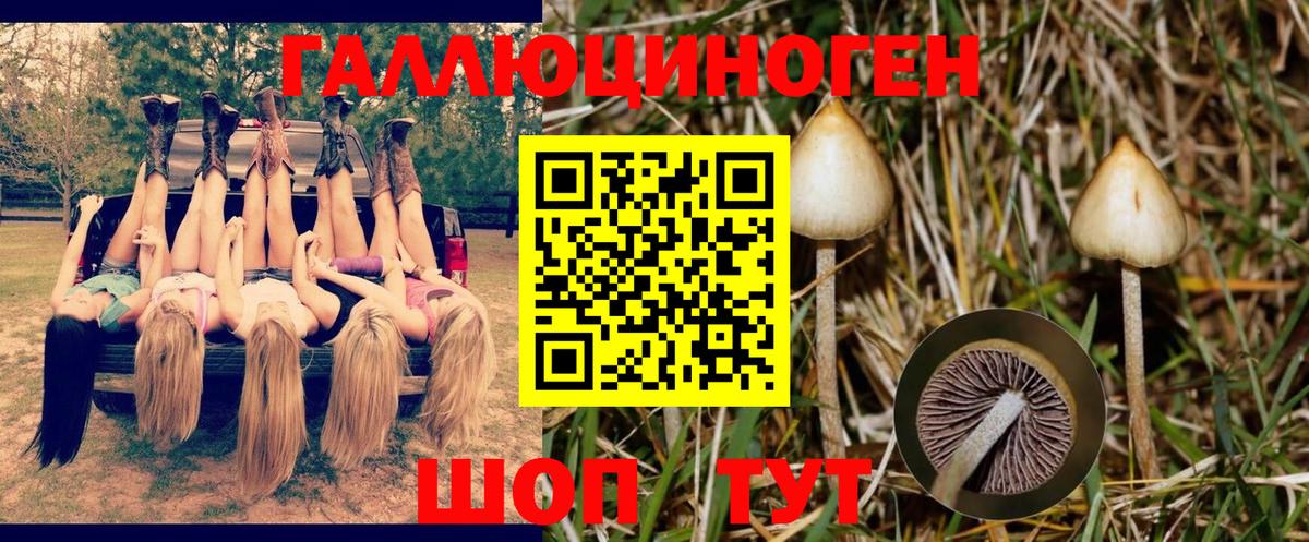 Псилоцибиновые грибы MAGIC MUSHROOMS  Вход с VPN  Рыбинск 